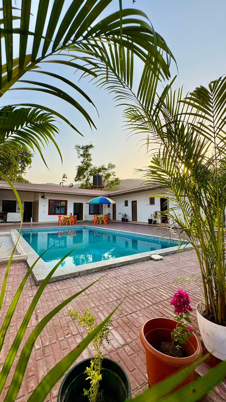 Villa Montierra pool surrounded by palms